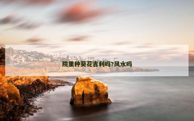 院里种葵花吉利吗?风水吗