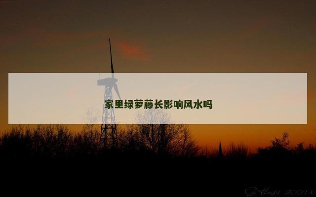 家里绿萝藤长影响风水吗