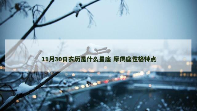 11月30日农历是什么星座 摩羯座性格特点