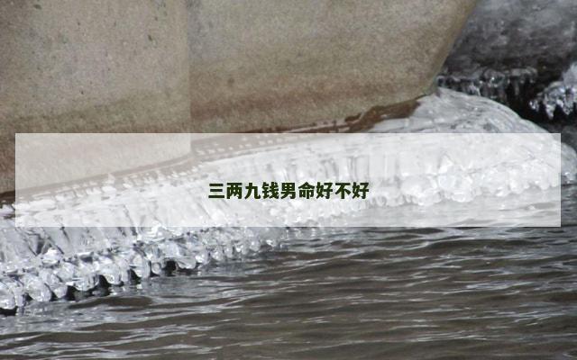 三两九钱男命好不好
