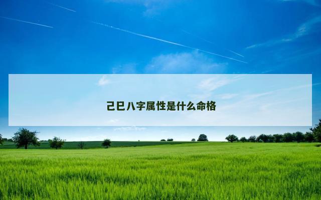 己巳八字属性是什么命格