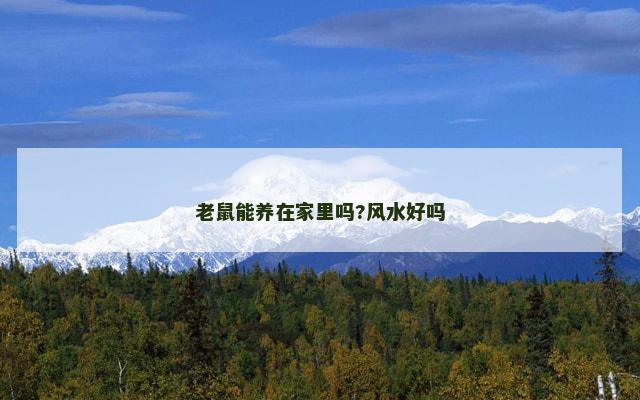 老鼠能养在家里吗?风水好吗