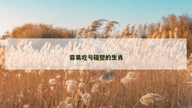 容易吃亏碰壁的生肖