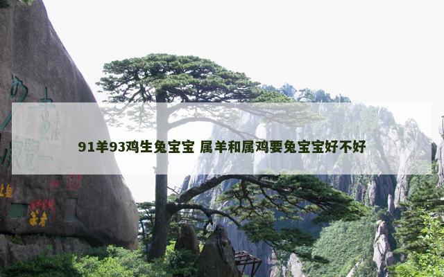 91羊93鸡生兔宝宝 属羊和属鸡要兔宝宝好不好