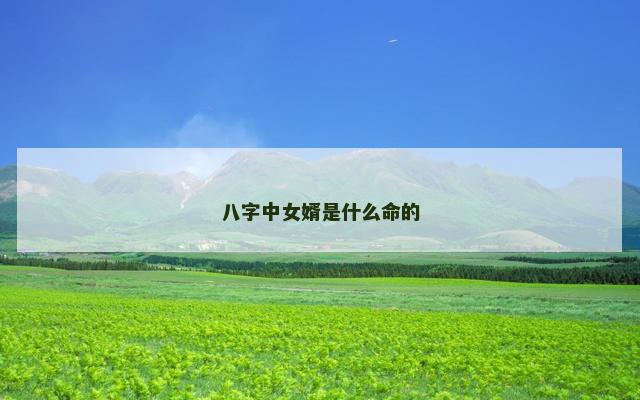 八字中女婿是什么命的