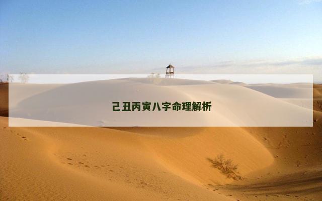 己丑丙寅八字命理解析
