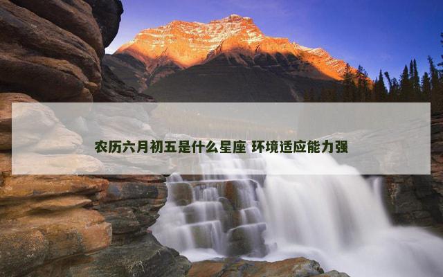 农历六月初五是什么星座 环境适应能力强