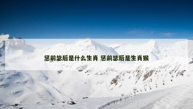 惩前毖后是什么生肖 惩前毖后是生肖猴