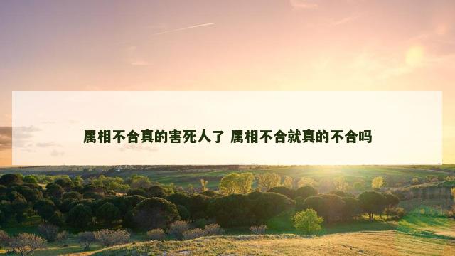 属相不合真的害死人了 属相不合就真的不合吗