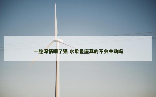 一腔深情喂了猫 水象星座真的不会主动吗