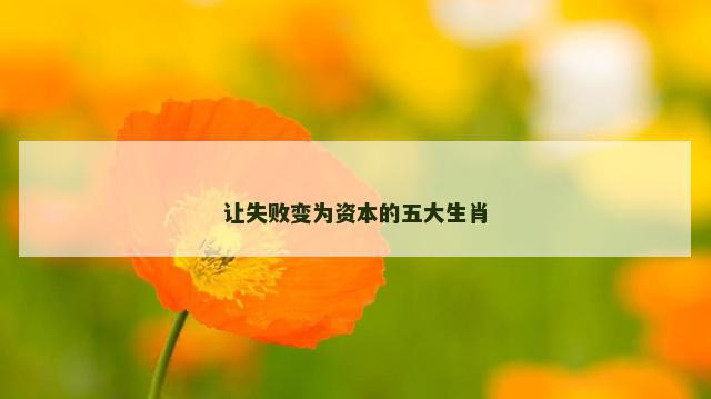 让失败变为资本的五大生肖