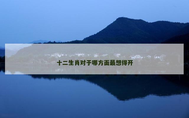 十二生肖对于哪方面最想得开