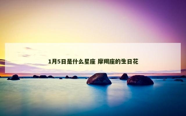 1月5日是什么星座 摩羯座的生日花