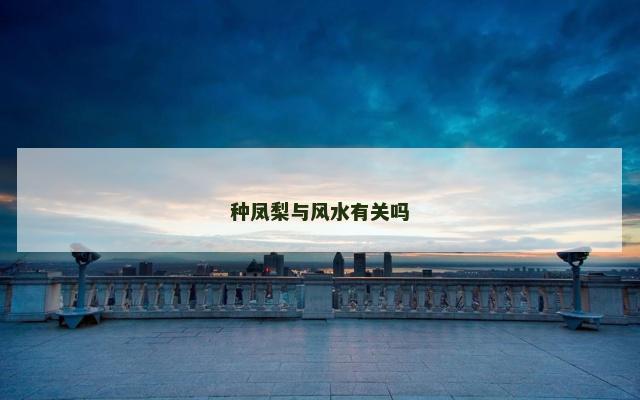 种凤梨与风水有关吗