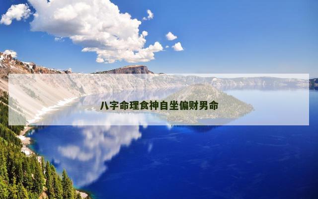 八字命理食神自坐偏财男命