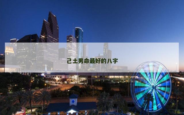 己土男命最好的八字