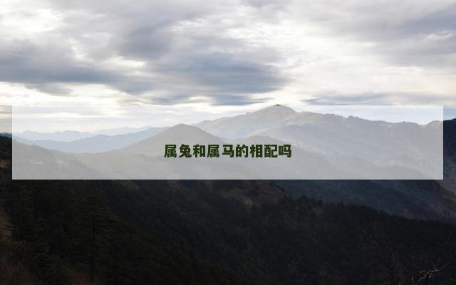 属兔和属马的相配吗