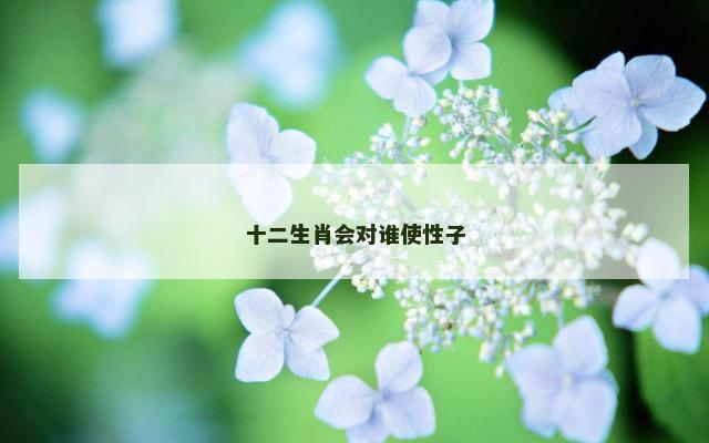 十二生肖会对谁使性子