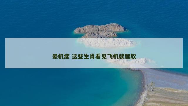 晕机症 这些生肖看见飞机就腿软