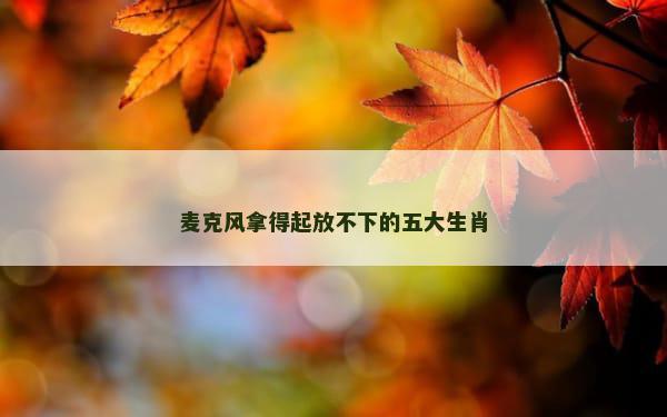 麦克风拿得起放不下的五大生肖