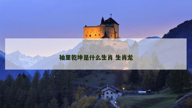 袖里乾坤是什么生肖 生肖龙