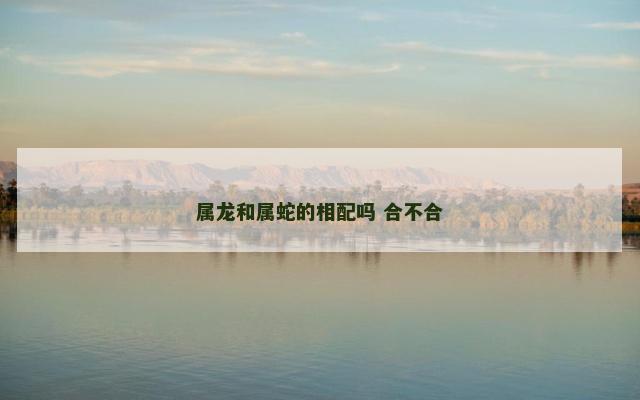 属龙和属蛇的相配吗 合不合