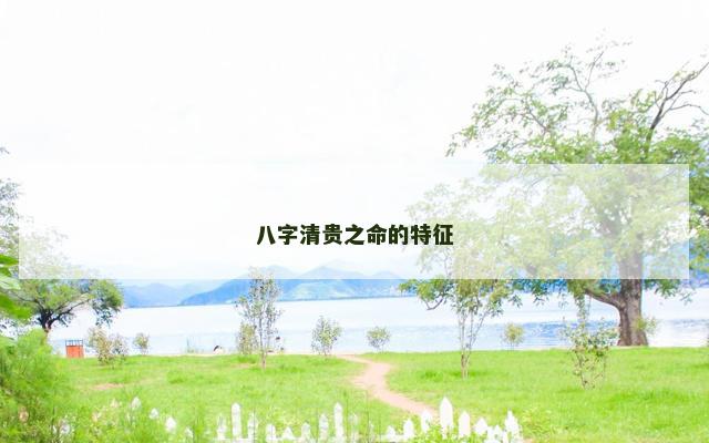 八字清贵之命的特征