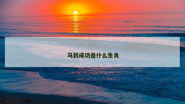 马到成功是什么生肖