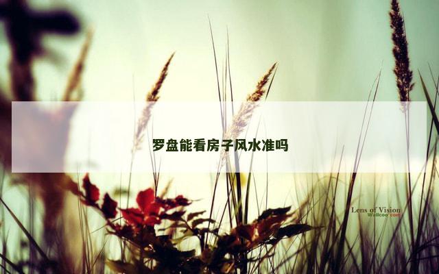罗盘能看房子风水准吗