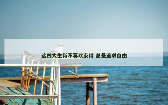 这四大生肖不喜欢束缚 总是追求自由