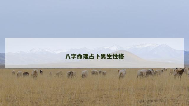 八字命理占卜男生性格