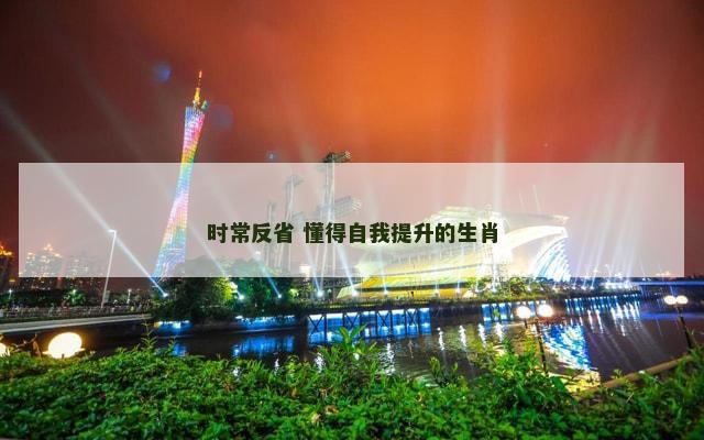 时常反省 懂得自我提升的生肖