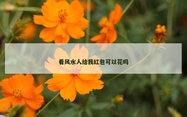 看风水人给我红包可以花吗