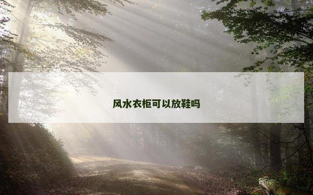 风水衣柜可以放鞋吗