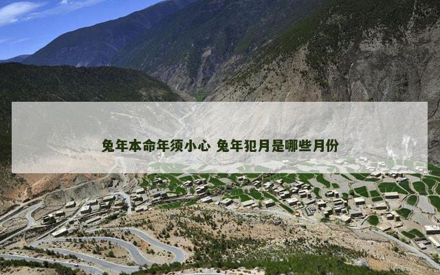 兔年本命年须小心 兔年犯月是哪些月份