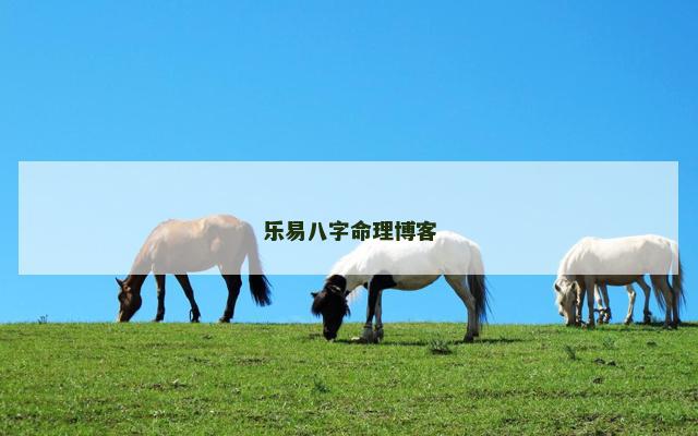 乐易八字命理博客