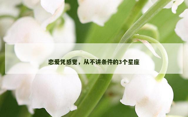 恋爱凭感觉，从不讲条件的3个星座