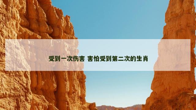受到一次伤害 害怕受到第二次的生肖