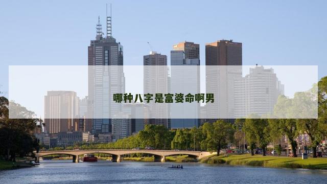 哪种八字是富婆命啊男