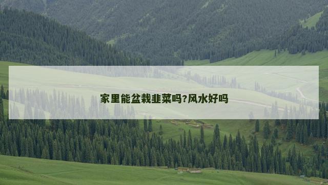 家里能盆栽韭菜吗?风水好吗