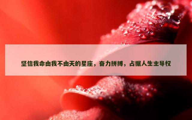坚信我命由我不由天的星座，奋力拼搏，占据人生主导权