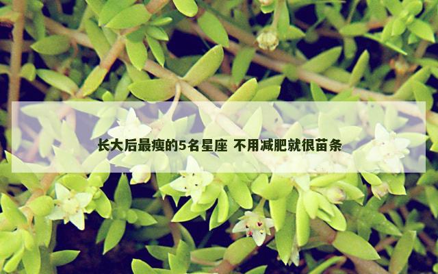 长大后最瘦的5名星座 不用减肥就很苗条