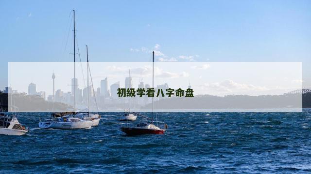 初级学看八字命盘