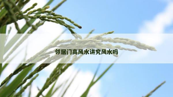 邻居门高风水讲究风水吗
