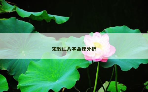 宋教仁八字命理分析
