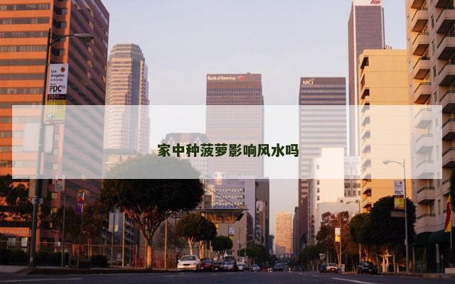 家中种菠萝影响风水吗