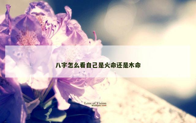 八字怎么看自己是火命还是木命