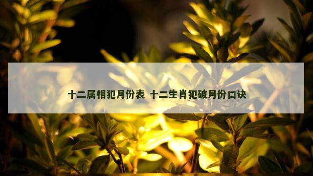 十二属相犯月份表 十二生肖犯破月份口诀