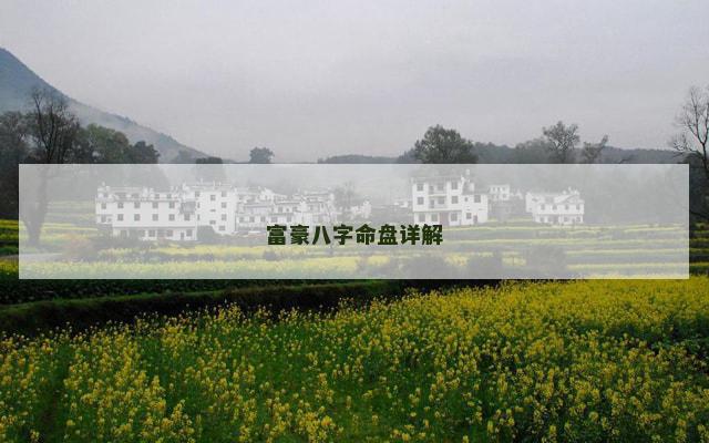 富豪八字命盘详解