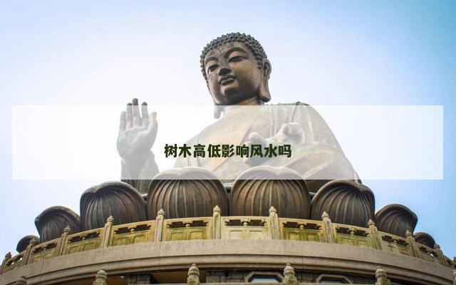 树木高低影响风水吗